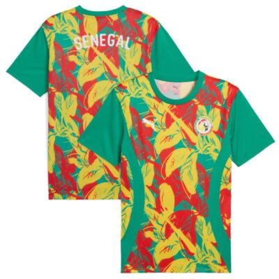 Senegal National Team 2025 Pre-Match Jersey - Green
