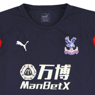 Alternative view of 2018-19 Crystal Palace Training Limited Jersey