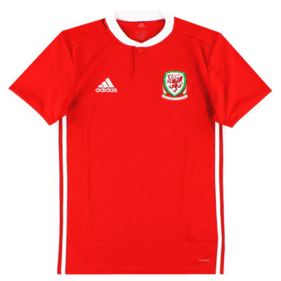 2018-19 Wales Home Limited Jersey