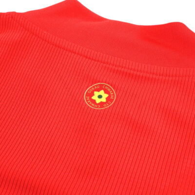 2020-21 Wales Home Limited Jersey - Image 4