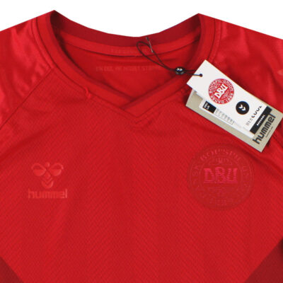 Alternative view of 2022 Denmark Home Limited Jersey