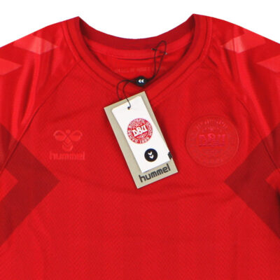 Alternative view of 2022 Denmark Home Limited Jersey