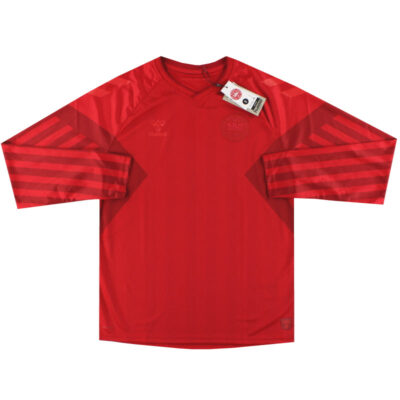 2022 Denmark Home Limited Jersey