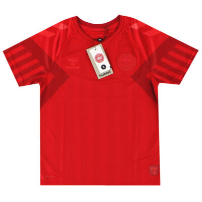 2022 Denmark Home Limited Jersey
