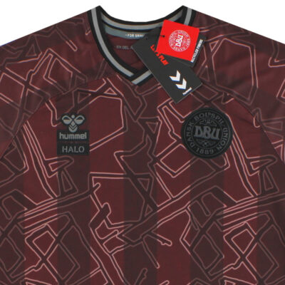 Alternative view of 2024 Denmark x Halo Special Edition Limited Jersey