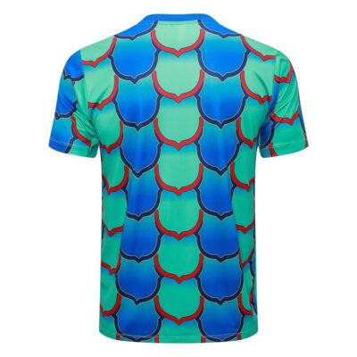 Barca 2024 2025 Green Blue Short Shirt Kit - Image 3