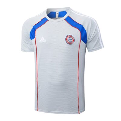 Alternative view of Bayern Munich 2025 2026 Grey Soccer Jersey Shorts Set