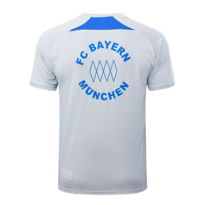 Bayern Munich 2025 2026 Grey Soccer Jersey Shorts Set - Image 3