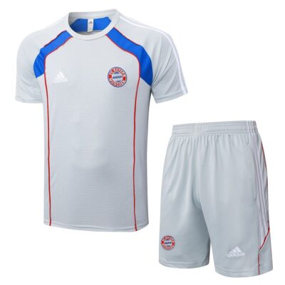 Bayern Munich 2025 2026 Grey Soccer Jersey Shorts Set