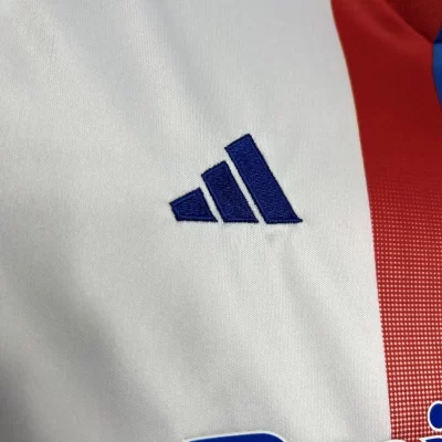 Kids' Kit Soccer Jersey Suit Lyon I 24/25 - White - Image 4
