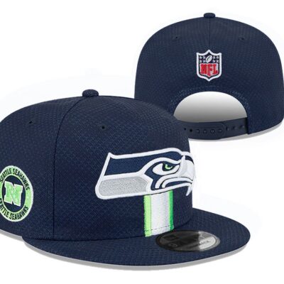 Seattle Seahawks Snapback Hat Limited Embroidered Cap For Fans