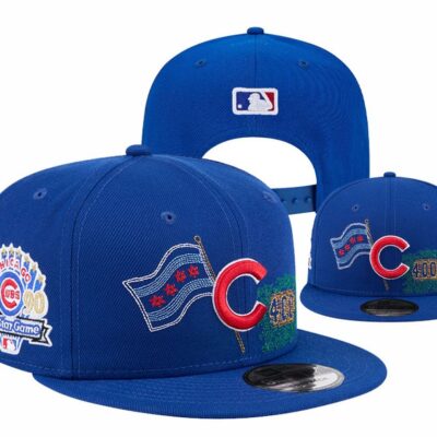 State Stitch Snapback Hat