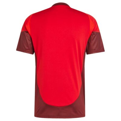 Alternative view of Toronto Home Jersey 2025-2026